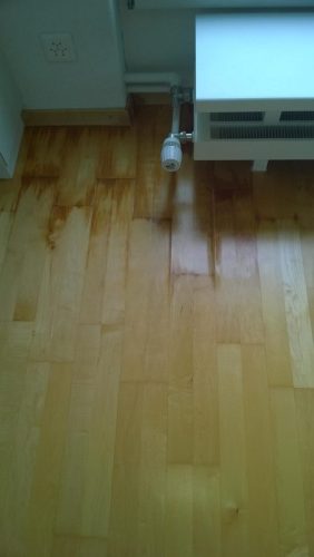 Wasserschaden-Bauaustrocknung